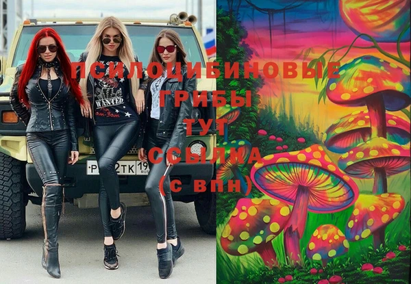 ПСИЛОЦИБИНОВЫЕ ГРИБЫ Краснотурьинск