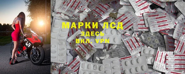 ПСИЛОЦИБИНОВЫЕ ГРИБЫ Краснотурьинск